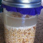 Soaking oats and wheat berries