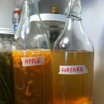 Kombucha flavors- winter