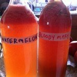 Kombucha flavors- summer