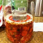 Ready for fermenting. Paste has been mixed and contents weighted down