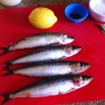 Use FRESH sardines or other small fish
