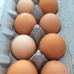 Pastured, unwashed eggs from Da-Le Ranch