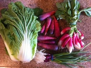 Organic, locally grown vegetables