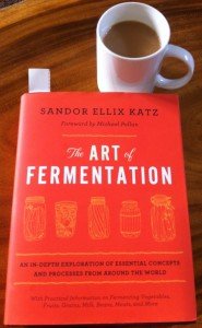 art of fermentation cover