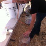 Gary racking the wine, avoiding the lees at the bottom of the bucket.