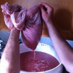 Day 7: remove the mesh bag with strawberries