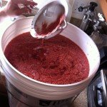 Day 7: Scoop out solids of pulp