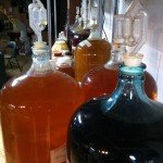 Lots of racked wine in Sandor Katz's fermentorium, Nov. 2011